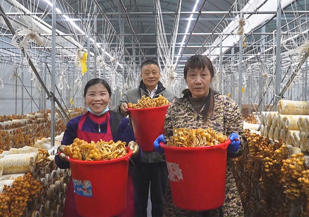 /uploads/image/2024/12/16/bd358217e2548ac85f53d21b1382613e.jpg 2.jpg