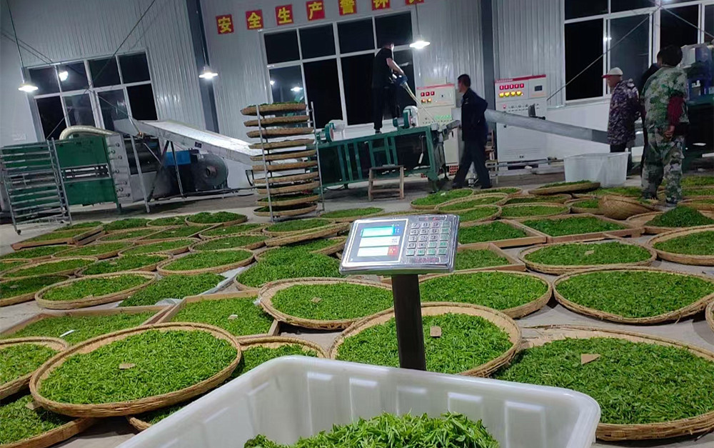 /uploads/image/2024/12/17/6e6cc7b5651e3551a3591e1b2f18e905.jpg 4.jpg