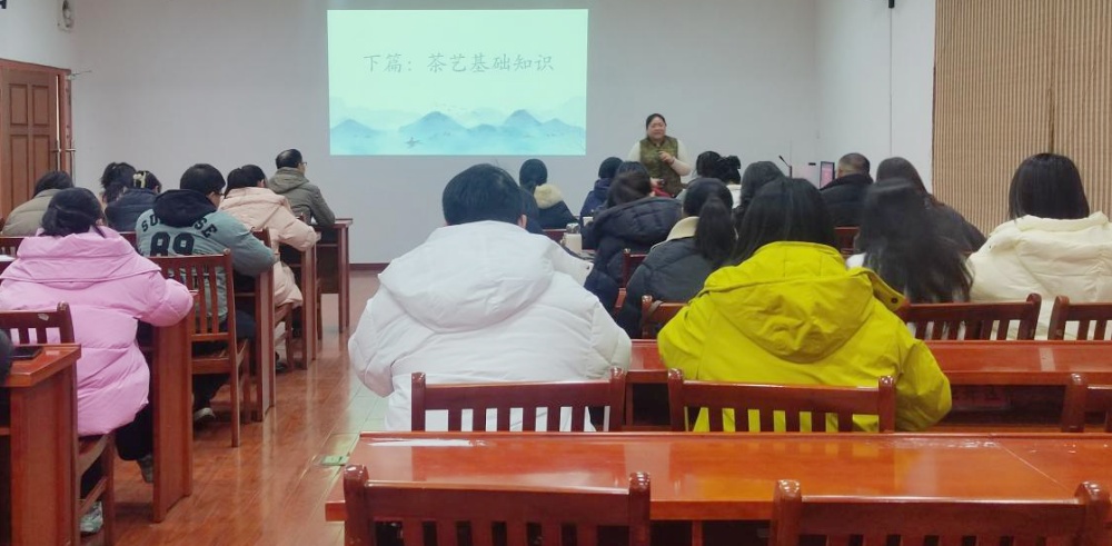 /uploads/image/2024/12/17/ee363f8701abf8b586d99200b750acfe.jpg 图片1.jpg