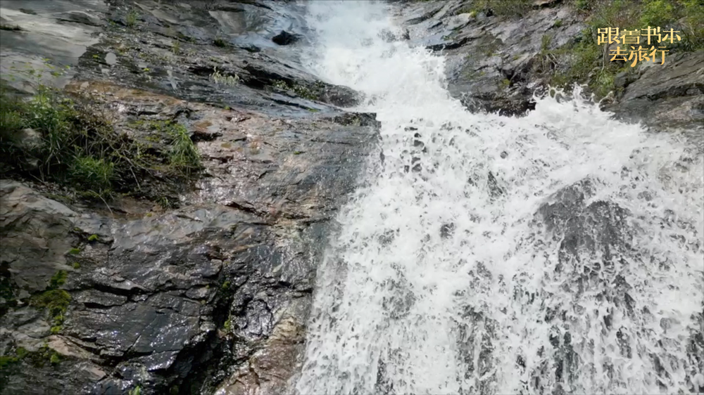 /uploads/image/2024/12/18/8b5f298c87799ba692d463177bdc5700.png 3.png