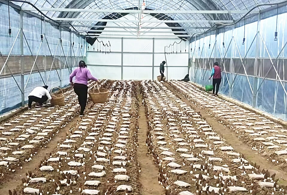 /uploads/image/2024/12/20/9bfa6018305c2a837ae3700a9b4282a5.jpg 6.jpg