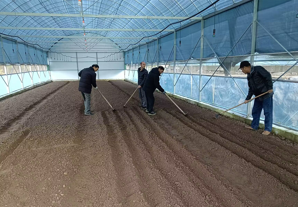 /uploads/image/2024/12/20/d26da5c8a503de922b70d9c630e8d118.jpg 5.jpg