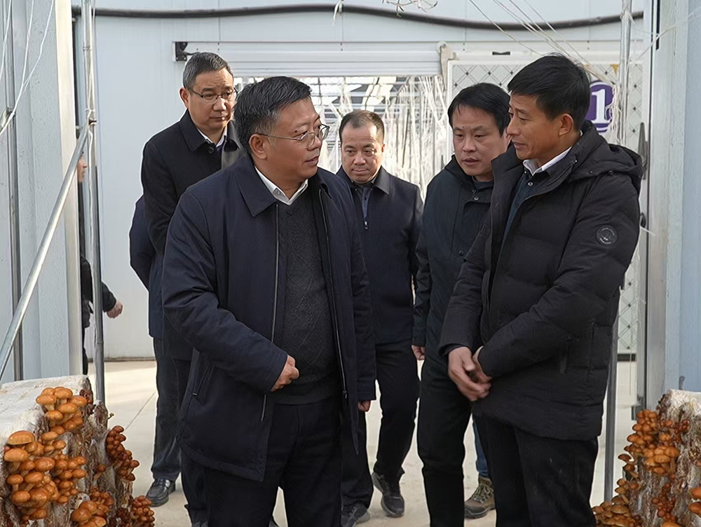 /uploads/image/2024/12/20/846731660eb81dde48fbe9f505ea9177.jpg 9.jpg