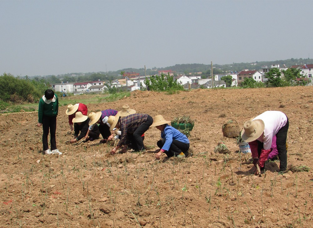 /uploads/image/2024/12/24/0b8de6aaccf87f643c530ca82fa746c9.jpg 20.jpg