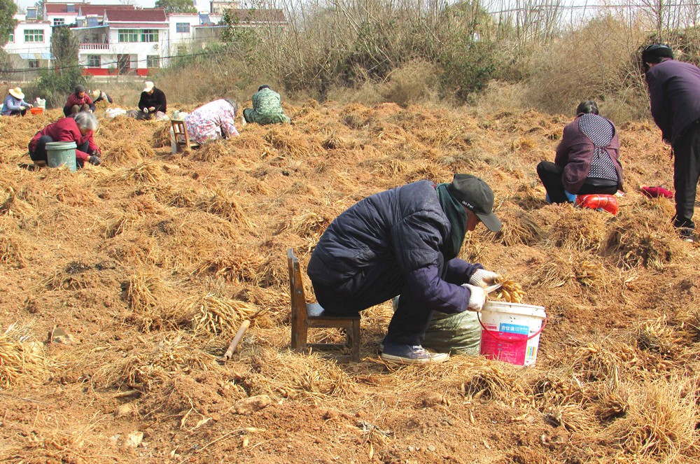 /uploads/image/2024/12/24/1b90238c89855f7a19fdfcae647fa93f.jpg 21.jpg