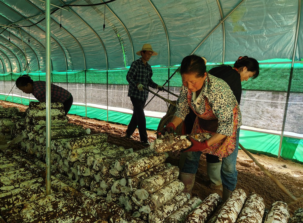 /uploads/image/2024/12/24/7230246278568487e815b81e707b8989.jpg 30.jpg