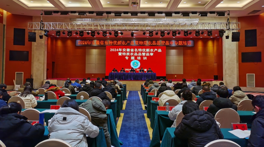 /uploads/image/2024/12/24/eb01a8ea95805197b35a745401b43a7f.jpg 微信图片_20241224160523.jpg