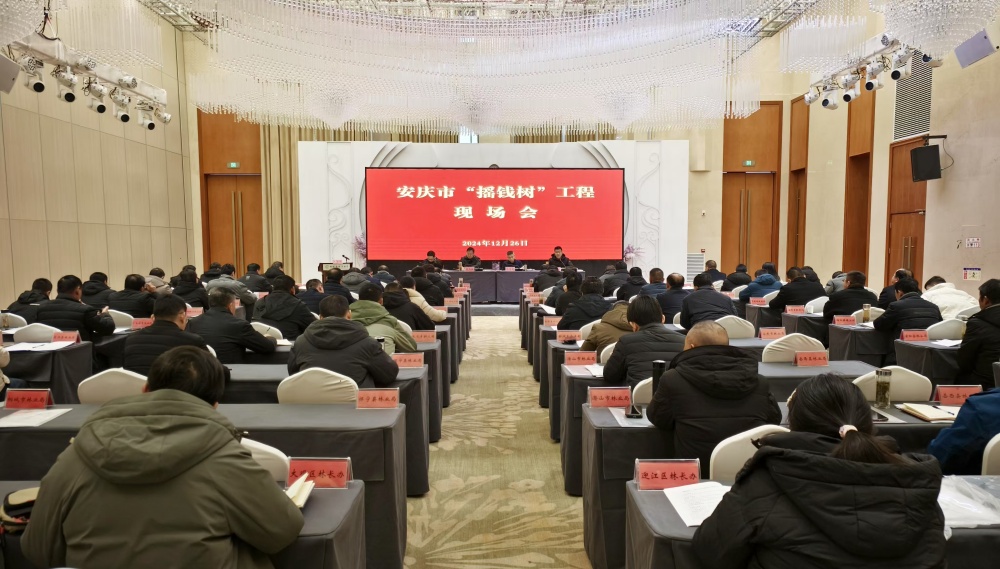 /uploads/image/2024/12/27/33c42f6d6d25b182e40d3977a8ec0567.jpg 1226图为现场会现场3.jpg