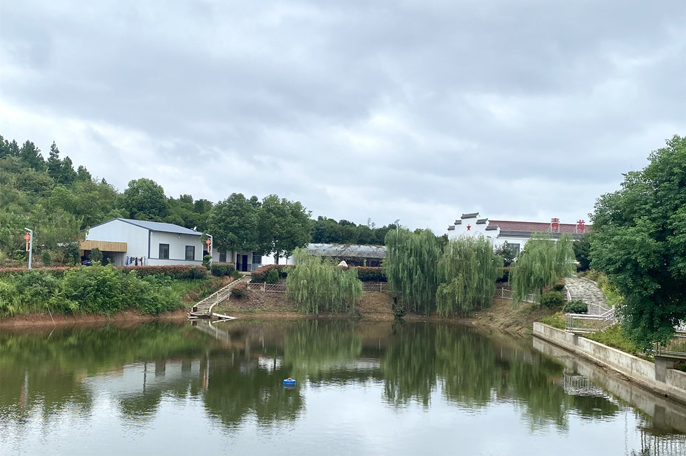 /uploads/image/2024/12/27/693364e8cc570fd16c148ebebfe3002b.jpg 大关镇青龙湾生态园_副本.jpg