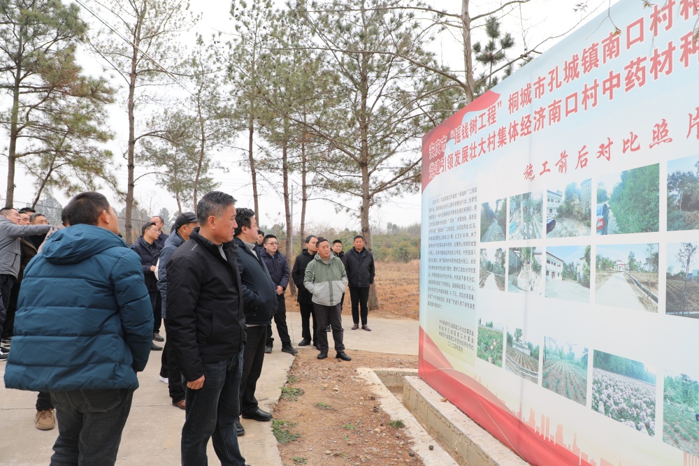 1226图为现场会现场 (2).JPG