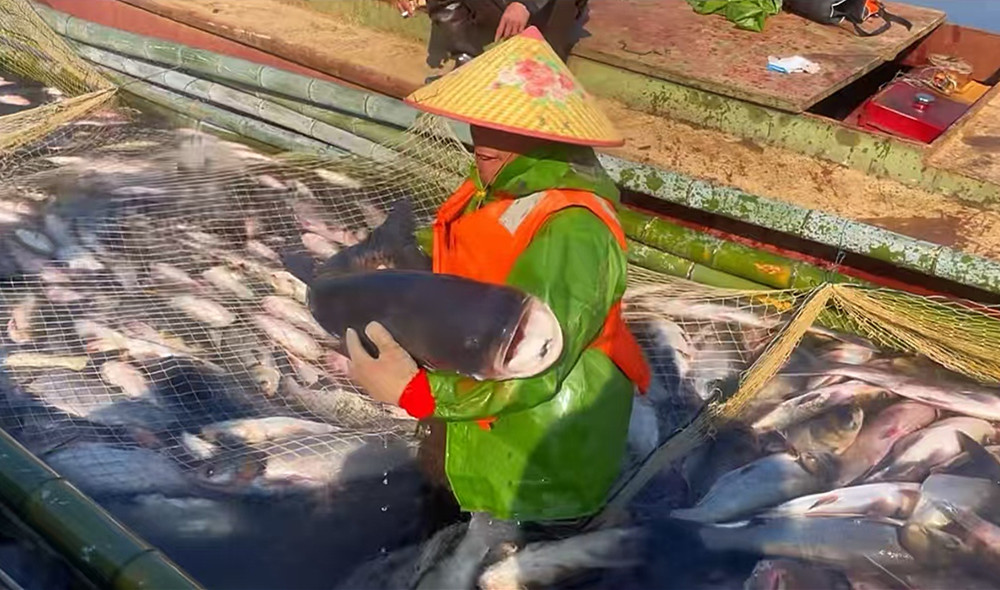 /uploads/image/2025/01/05/5c65ab3c090c67ae96035dfabdbe2307.jpg 11.jpg