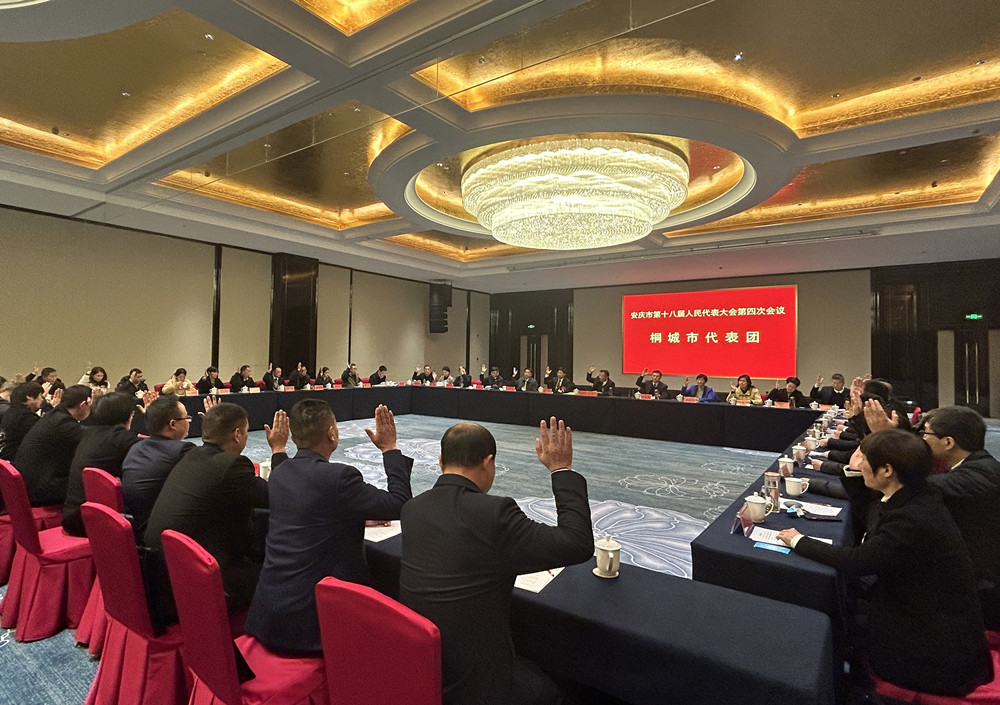 /uploads/image/2025/01/11/1861f80d8eb7e49cfc6211b208af7e8d.jpg 3.jpg