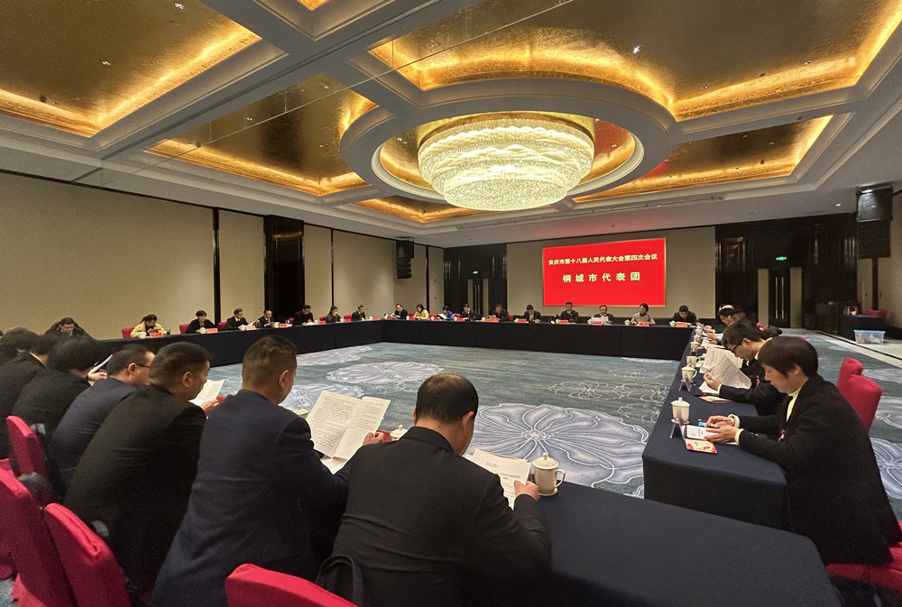 /uploads/image/2025/01/11/804a30c31d533c6b85b544c73abadc59.jpg 31.jpg