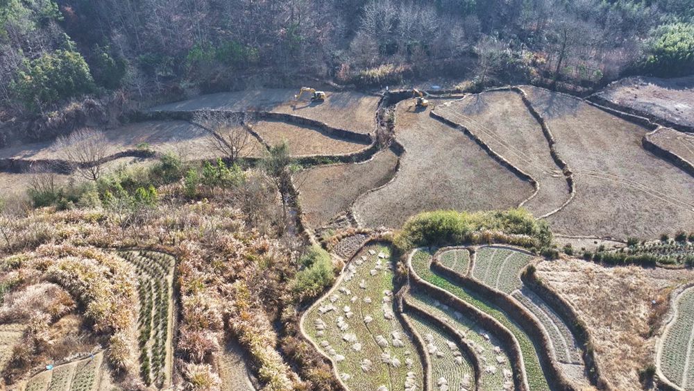 /uploads/image/2025/01/20/a33eef539661345393da6068217828d8.jpg 图为青草镇铜锣村图斑整改现场1.jpg