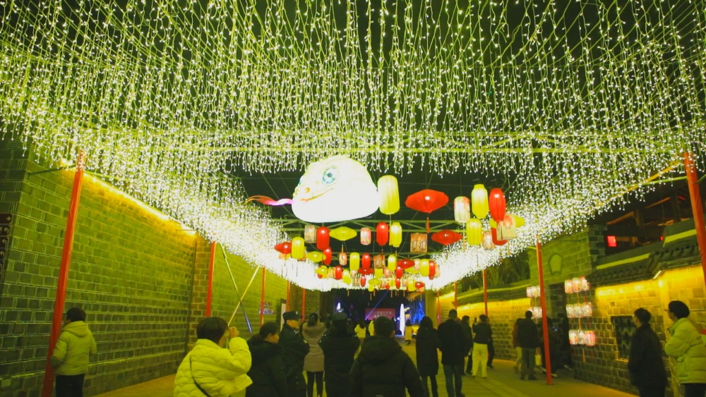 /uploads/image/2025/01/20/46fd99ffd2c572c858ce4ad500c8d5af.jpg 图为六尺巷新春灯会现场25.jpg