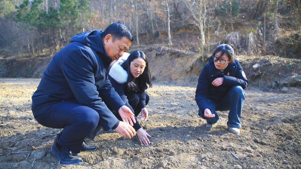 /uploads/image/2025/01/20/655e9e8007a79e20ce162df5b806d615.jpg 图为青草镇铜锣村党总支副书记郑小玉(右一)正带着村委成员在勘察图斑整改情况.jpg