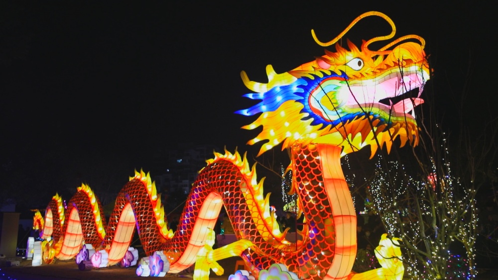 /uploads/image/2025/01/20/291a8305fbbe857afcfbfa2d8a9d928b.jpg 图为六尺巷新春灯会现场20.jpg