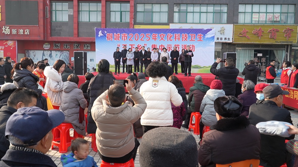 2025年桐城市文化科技卫生“三下乡”集中示范活动启动1.jpg
