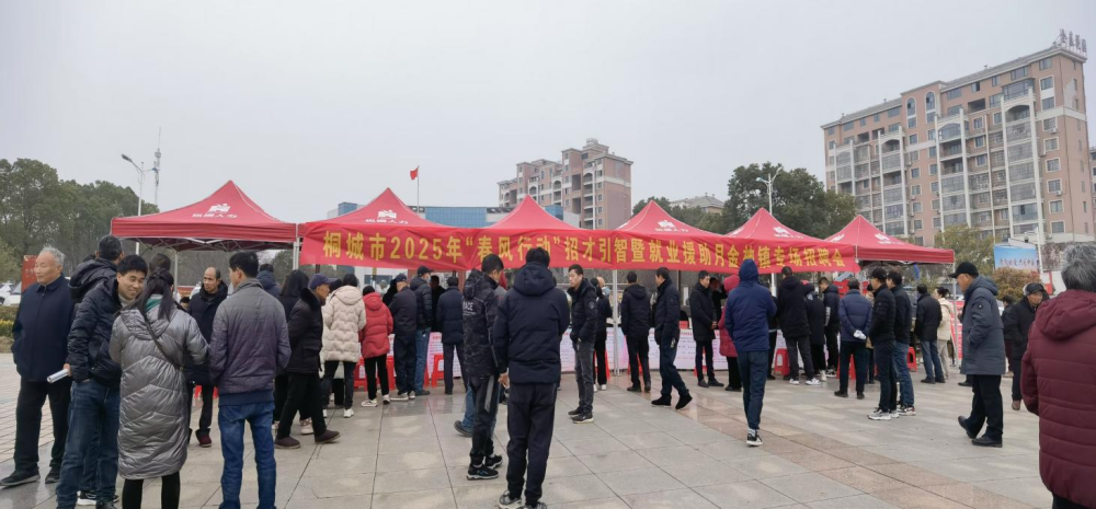 /uploads/image/2025/02/05/6bc6f1b47be7366f40fb0ceca4034b9a.png 图为金神镇“春风行动”招才引智专场招聘会现场(1).png