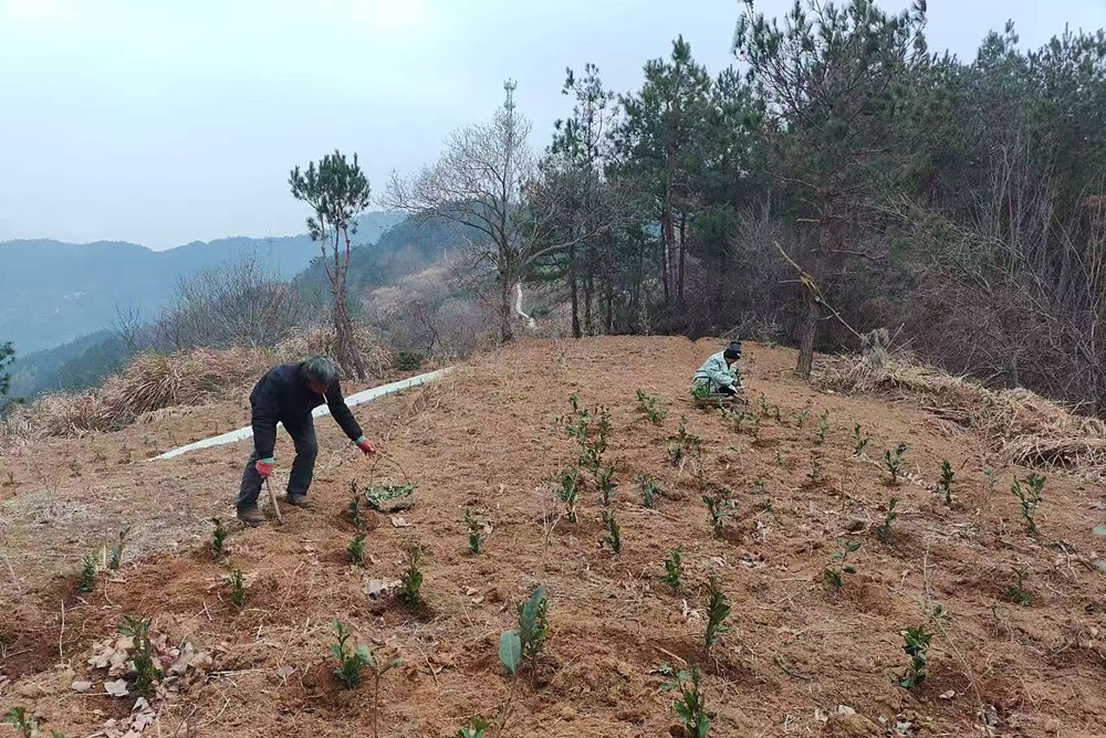 /uploads/image/2025/02/13/8f90b137b586d28f063b81d50f7dbe35.jpg 4.jpg