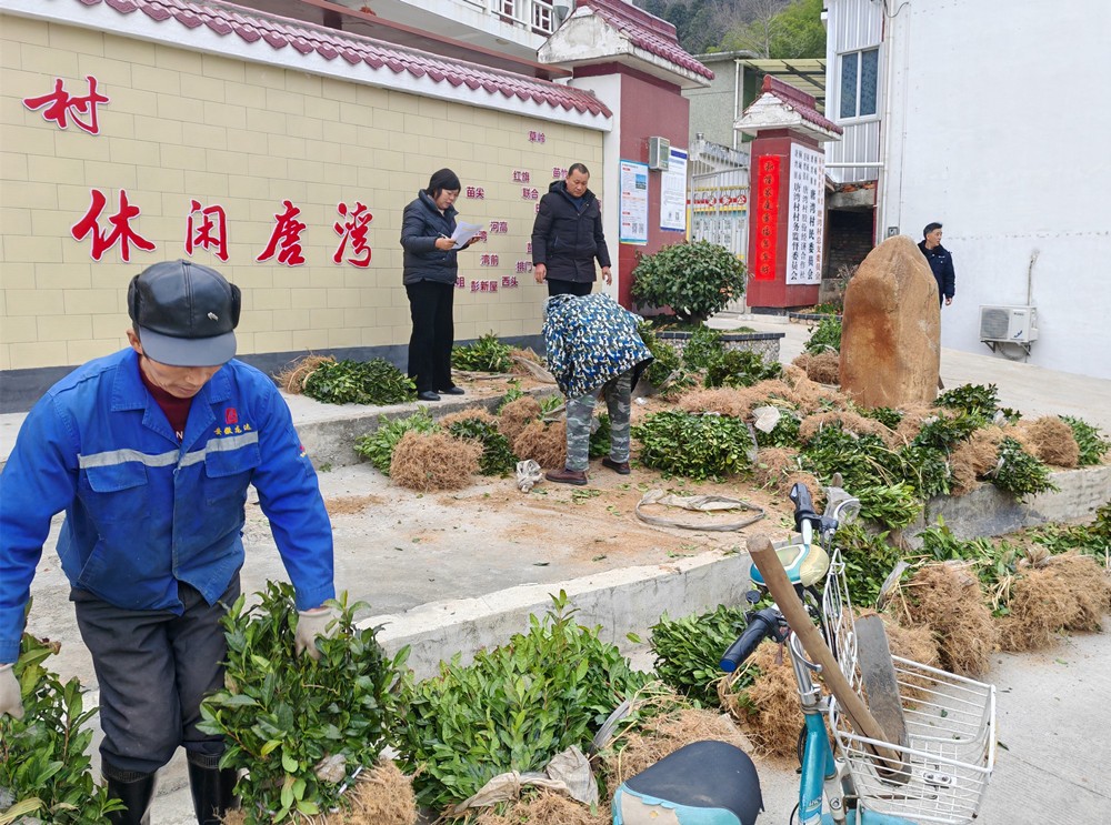 /uploads/image/2025/02/13/7ee0570b941acc449cd0eff01f98f47b.jpg 3.jpg