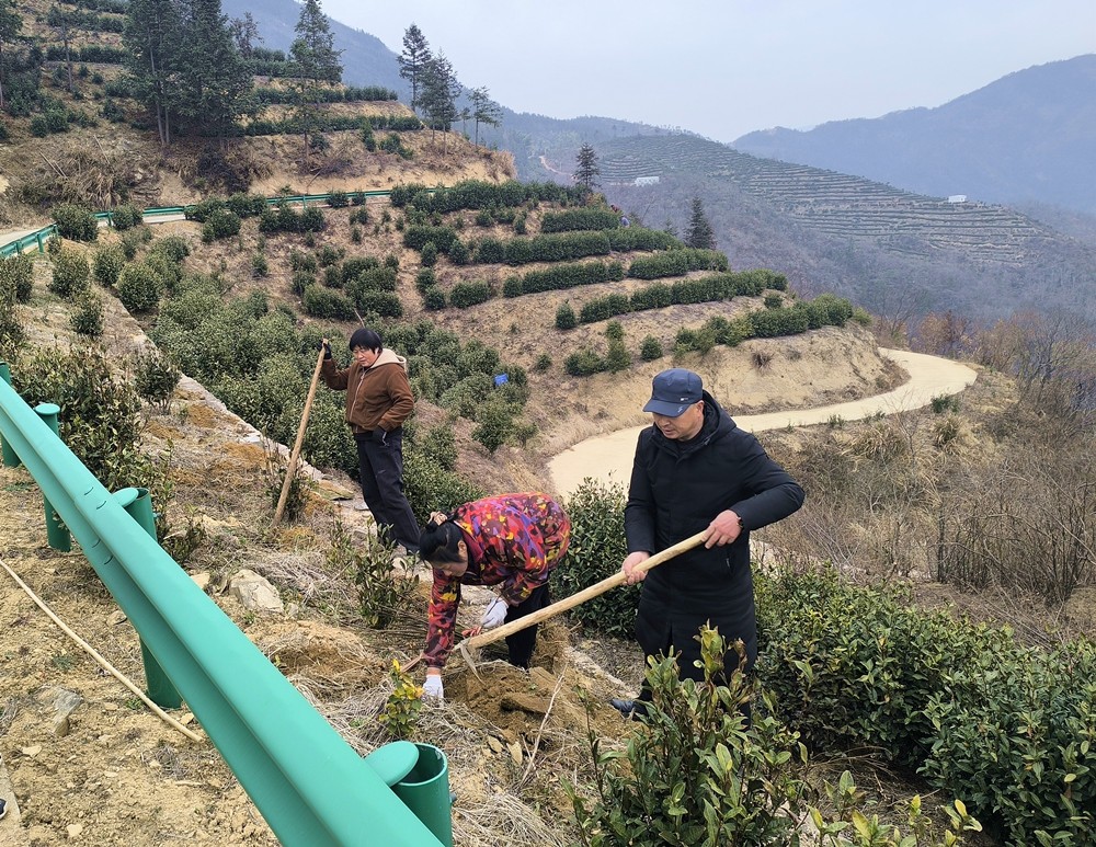 /uploads/image/2025/02/18/1462ef32f12365d3116a3bebdb1bcc78.jpg 0.jpg