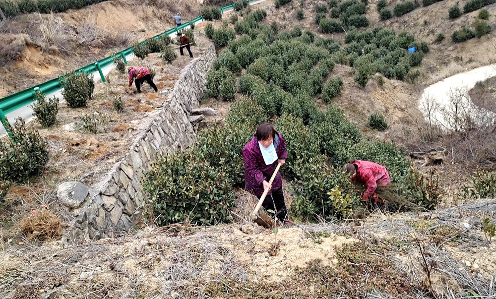 /uploads/image/2025/02/18/1f339651a6789751ad7b4119a541147e.jpg 1.jpg