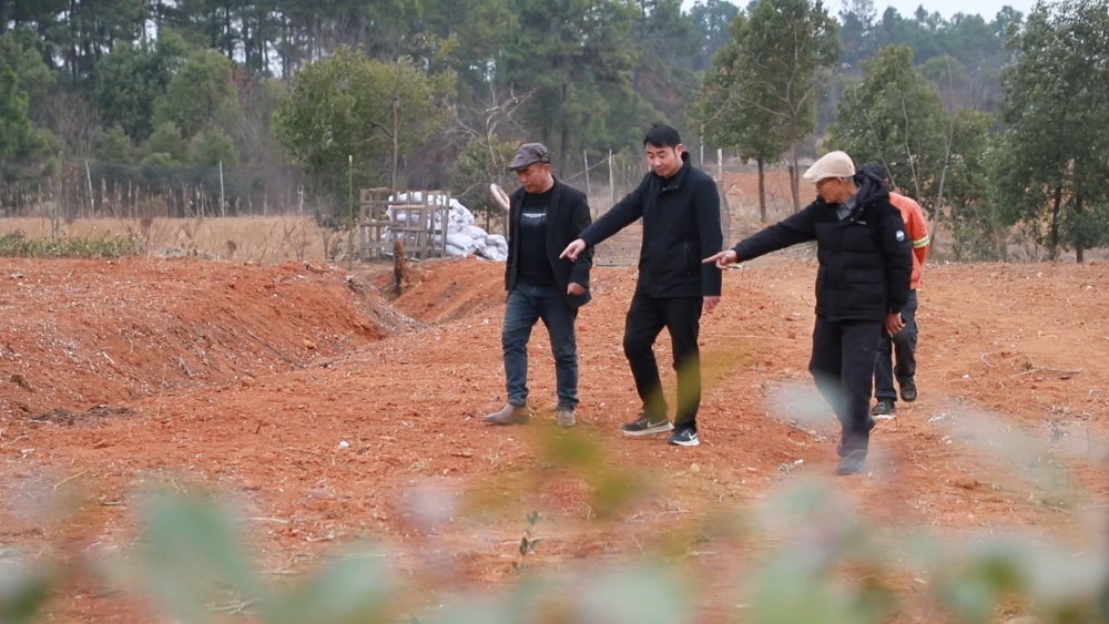 安徽桐城：“乡贤自治” 绘就和美乡村新画[00_04_52][20250218-164033].jpg