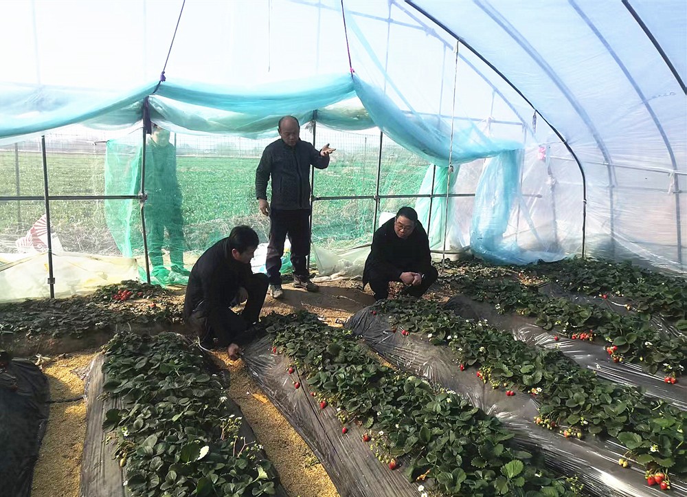 /uploads/image/2025/02/20/d32f44126393bb611786fd1792275930.jpg 1.jpg