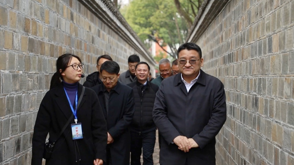 致公党中央调研组来桐城参观考察[00_01_48][20250304-150113].jpg