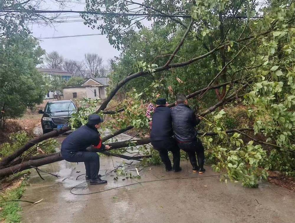 /uploads/image/2025/03/04/40d118c84ed355837c1c02aa83091fb9.jpg 3.jpg