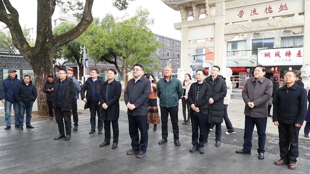 致公党中央调研组来桐城参观考察[00_00_03][20250304-150028].jpg