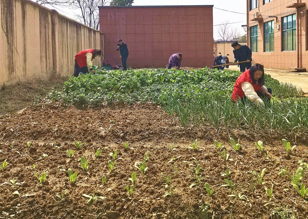 /uploads/image/2025/03/07/83f58ca83ea18e6f55cdbfebc17a0763.jpg 0.jpg