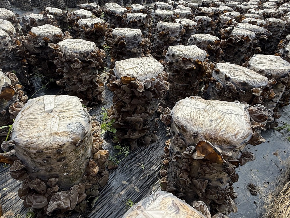 /uploads/image/2025/03/10/25405454653f2198198e62ced92ba128.jpg 21.jpg