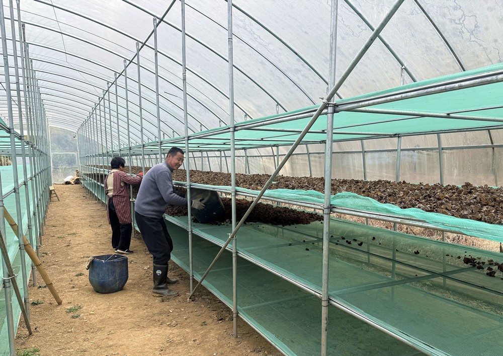 /uploads/image/2025/03/10/3f3065fb70dcc215a2b569fd669c6a50.jpg 23.jpg