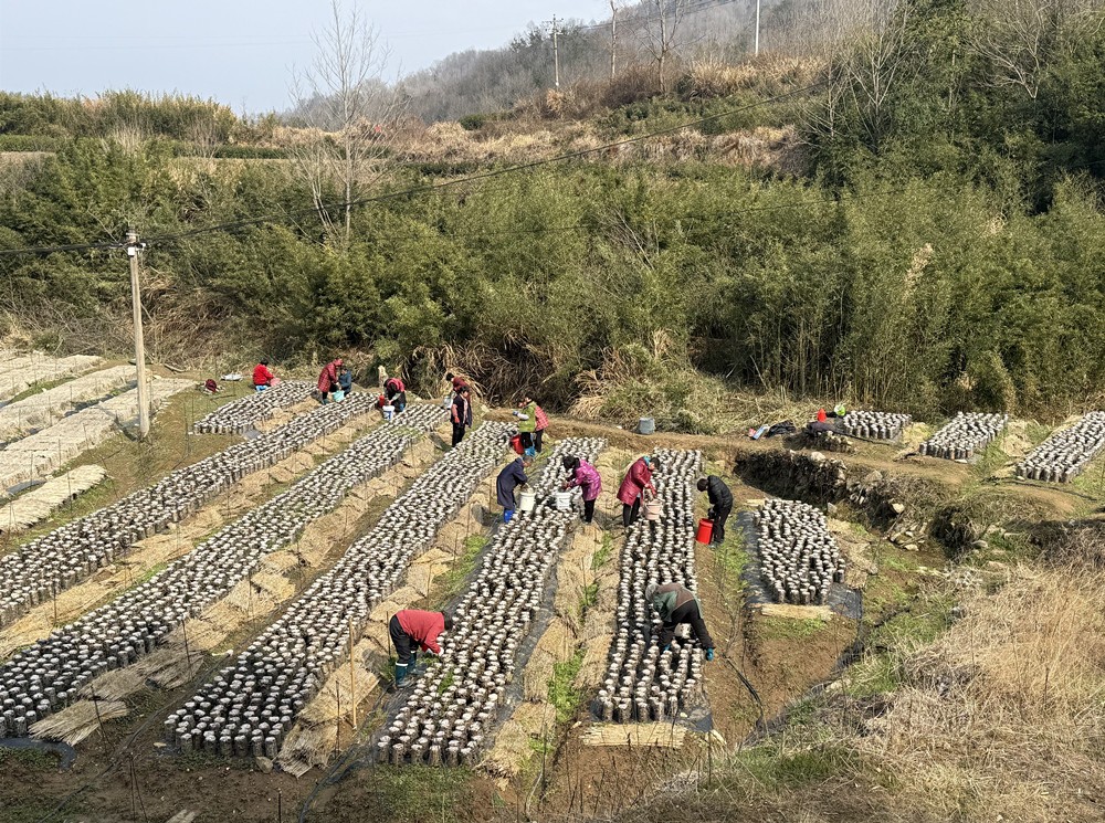 /uploads/image/2025/03/10/74a2017ec4dff1f6d31e313db8f30fe0.jpg 20.jpg