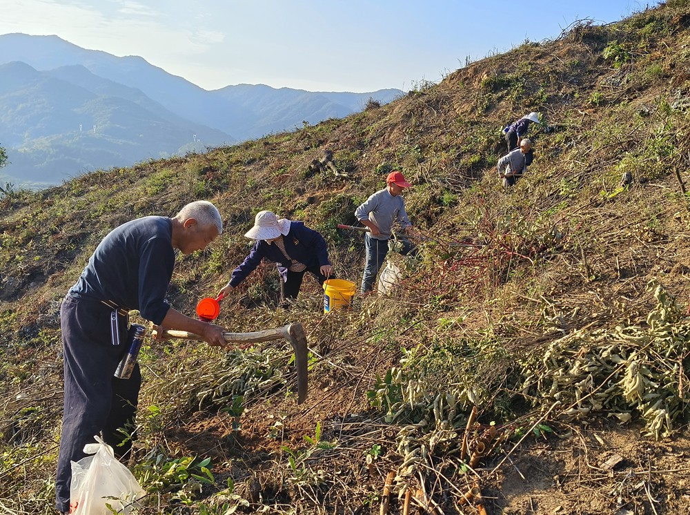 /uploads/image/2025/03/11/161671e5af286b76ece1712d91d7ac14.jpg 2.jpg