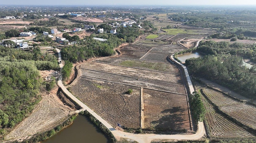 /uploads/image/2025/03/11/0e326eee0837886a70c874b7f0e4fd88.jpg 5.jpg