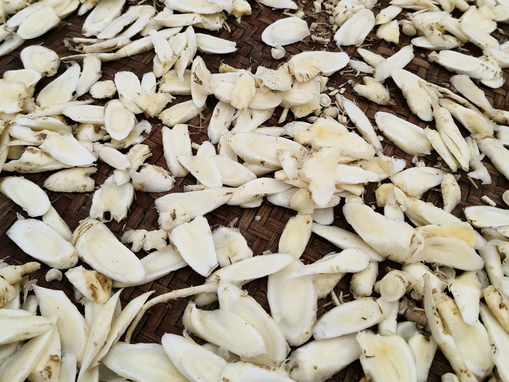 /uploads/image/2025/03/11/1c16c1cd0f96037723a88bfa3d921038.jpg 0.jpg