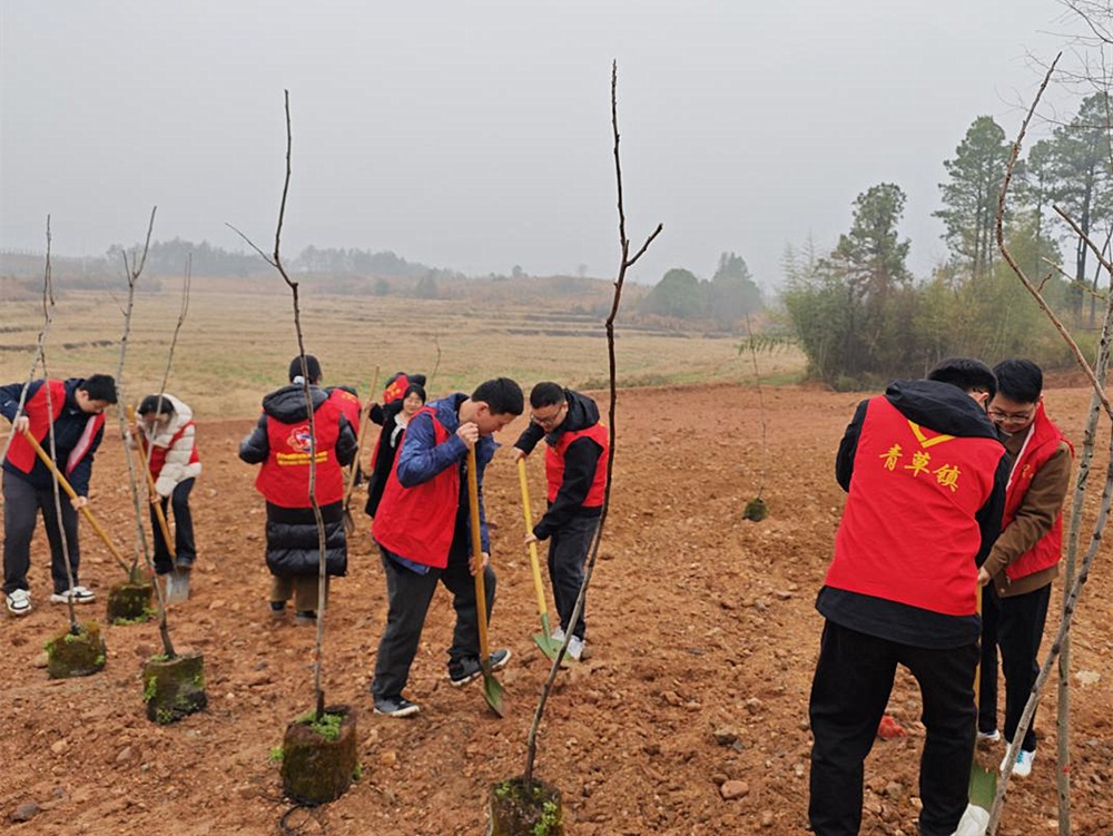 /uploads/image/2025/03/13/d27c702d6bd8709c2175501d1e7f6c0c.jpg 13.jpg