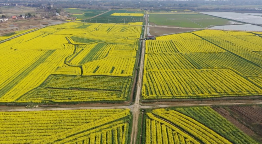 /uploads/image/2025/03/18/509655f7ffc10ece1510d6b1accd41f0.jpg 微信图片_20250318141901.jpg