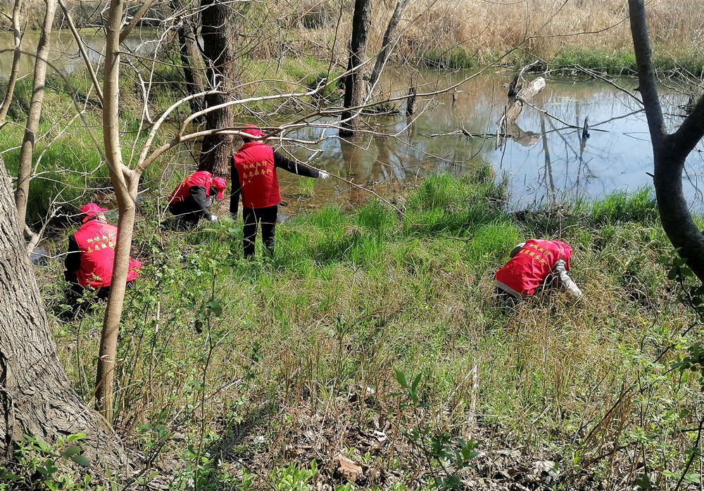 /uploads/image/2025/03/18/18727841304bd8dc966cadf452f26600.jpg 10.jpg