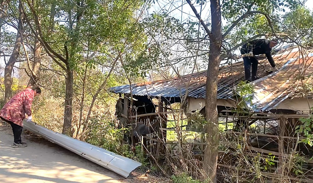 /uploads/image/2025/03/20/961271ee64cd886af5305aefe3d6488b.jpg 10.jpg