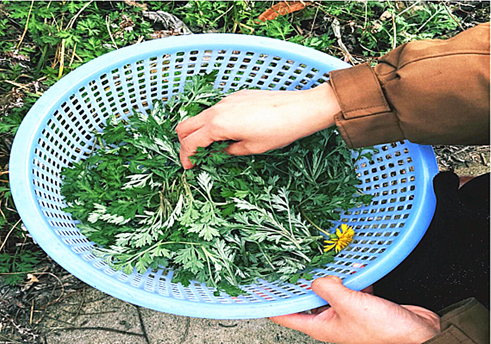 /uploads/image/2025/03/20/be98a57c8cda64f3a6bfa38be40ea773.png 图片1_副本.png