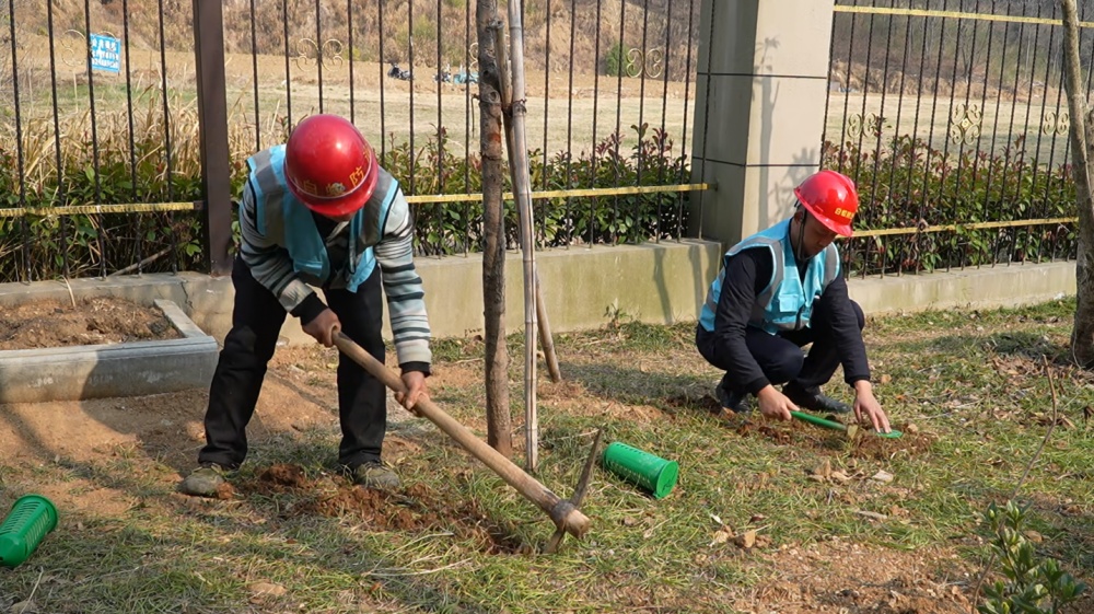 /uploads/image/2025/03/20/d030ba021d1b79e6d8588beceaadd0bb.jpg 治蚁害 办实事 解民忧2.jpg