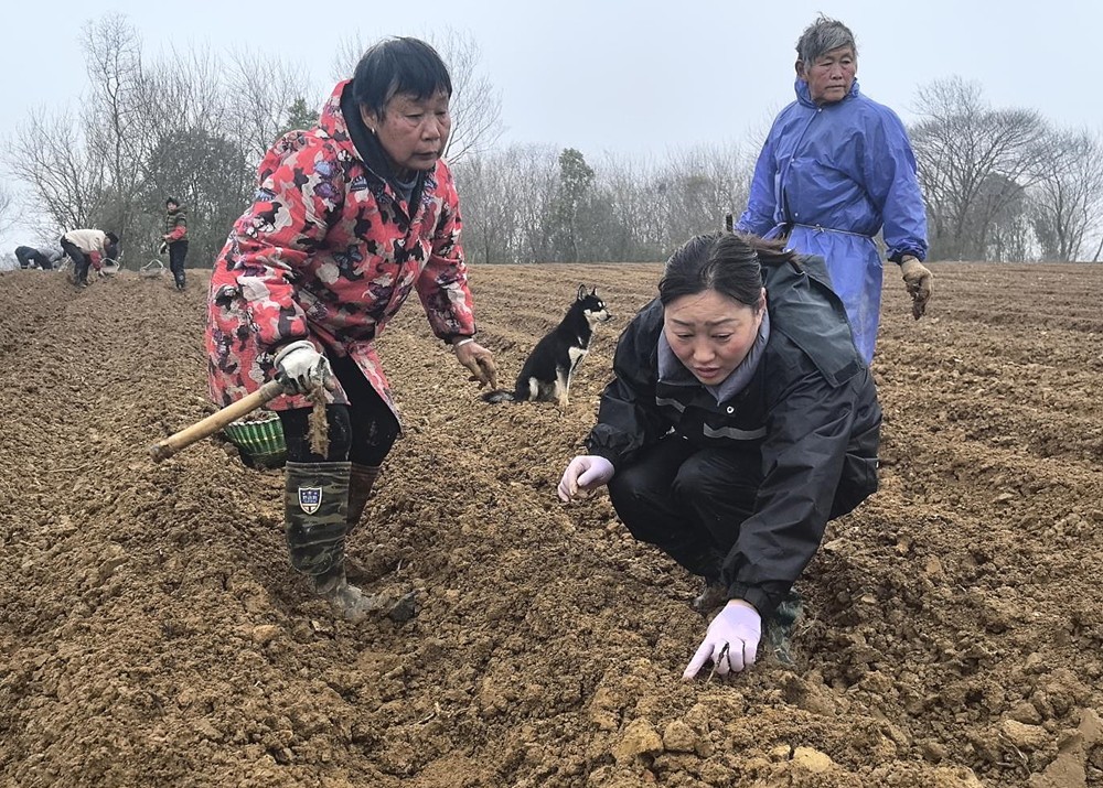 /uploads/image/2025/03/20/a7ca5a962e206a87792c900b45d369c4.jpg 2.jpg