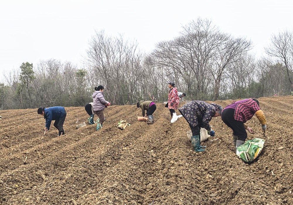 /uploads/image/2025/03/20/9e517f1e7c5c6299b69b46021d389e49.jpg 3.jpg