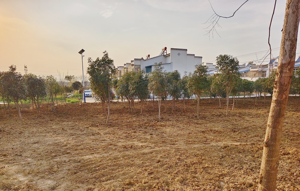 /uploads/image/2025/03/20/fa2bbf79d8f26e92d93276a0f4a0ada3.jpg 1.jpg