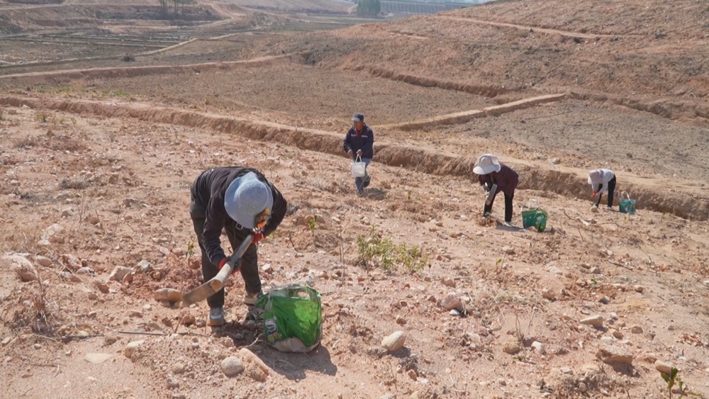 /uploads/image/2025/03/21/df09f13296fbe0d311b60a2a47eb0455.jpg 林下.jpg