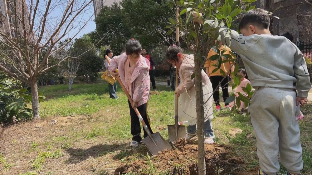 植树.jpg
